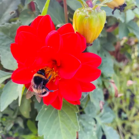 Apartamento Emma An Der Romantischen Strasse